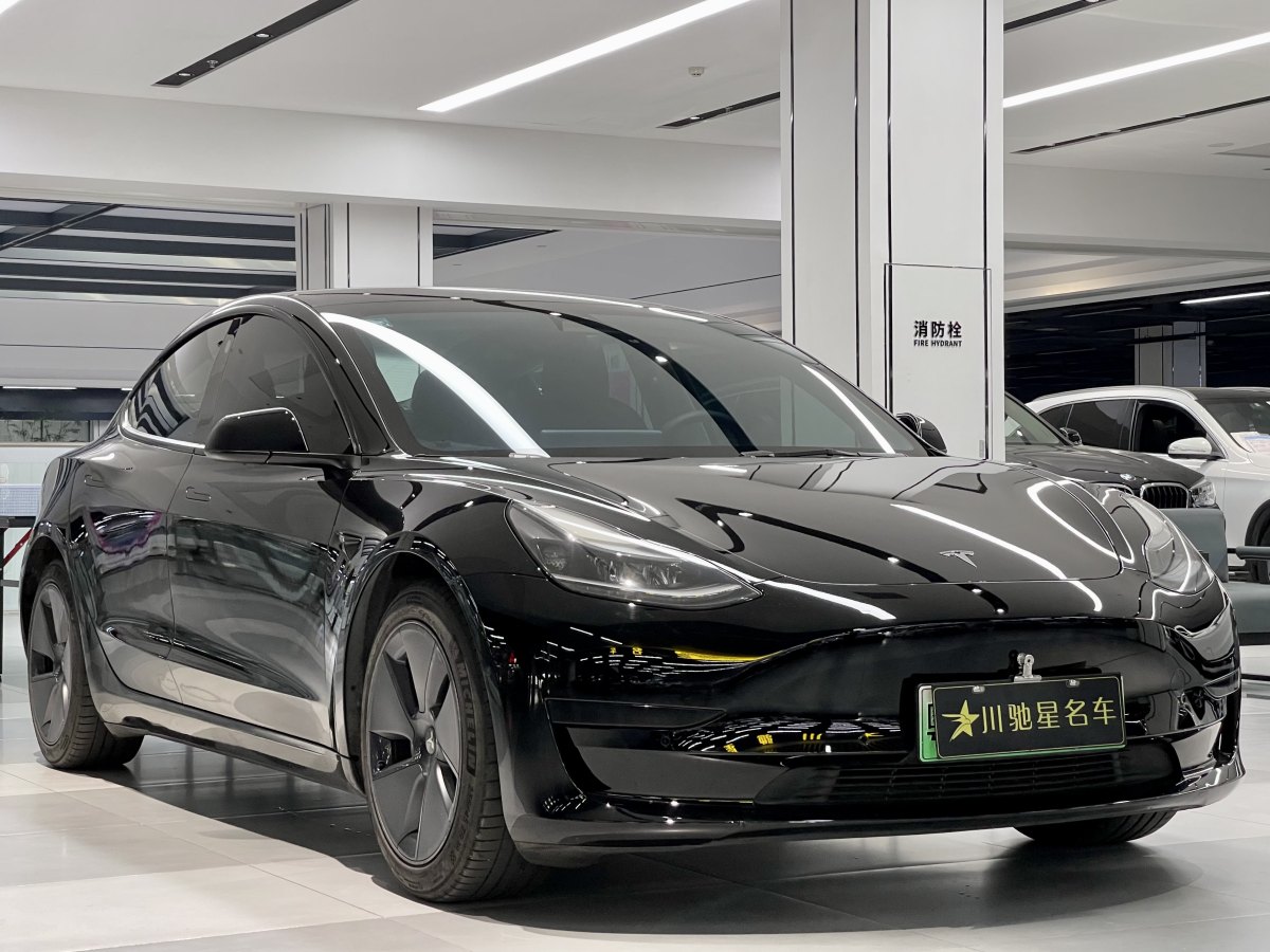 特斯拉 Model 3  2019款 標(biāo)準(zhǔn)續(xù)航后驅(qū)升級(jí)版圖片