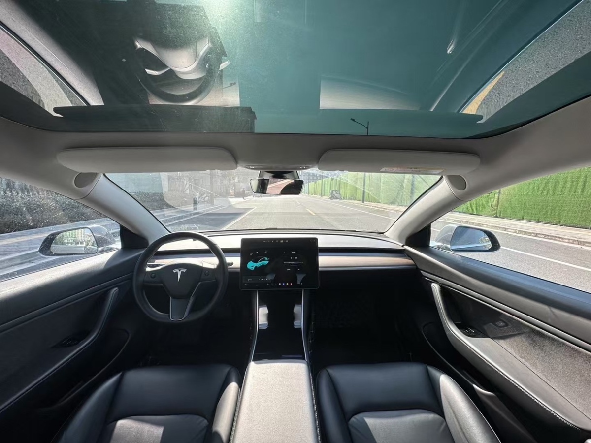 特斯拉 Model 3  2019款 Performance高性能全輪驅動版圖片