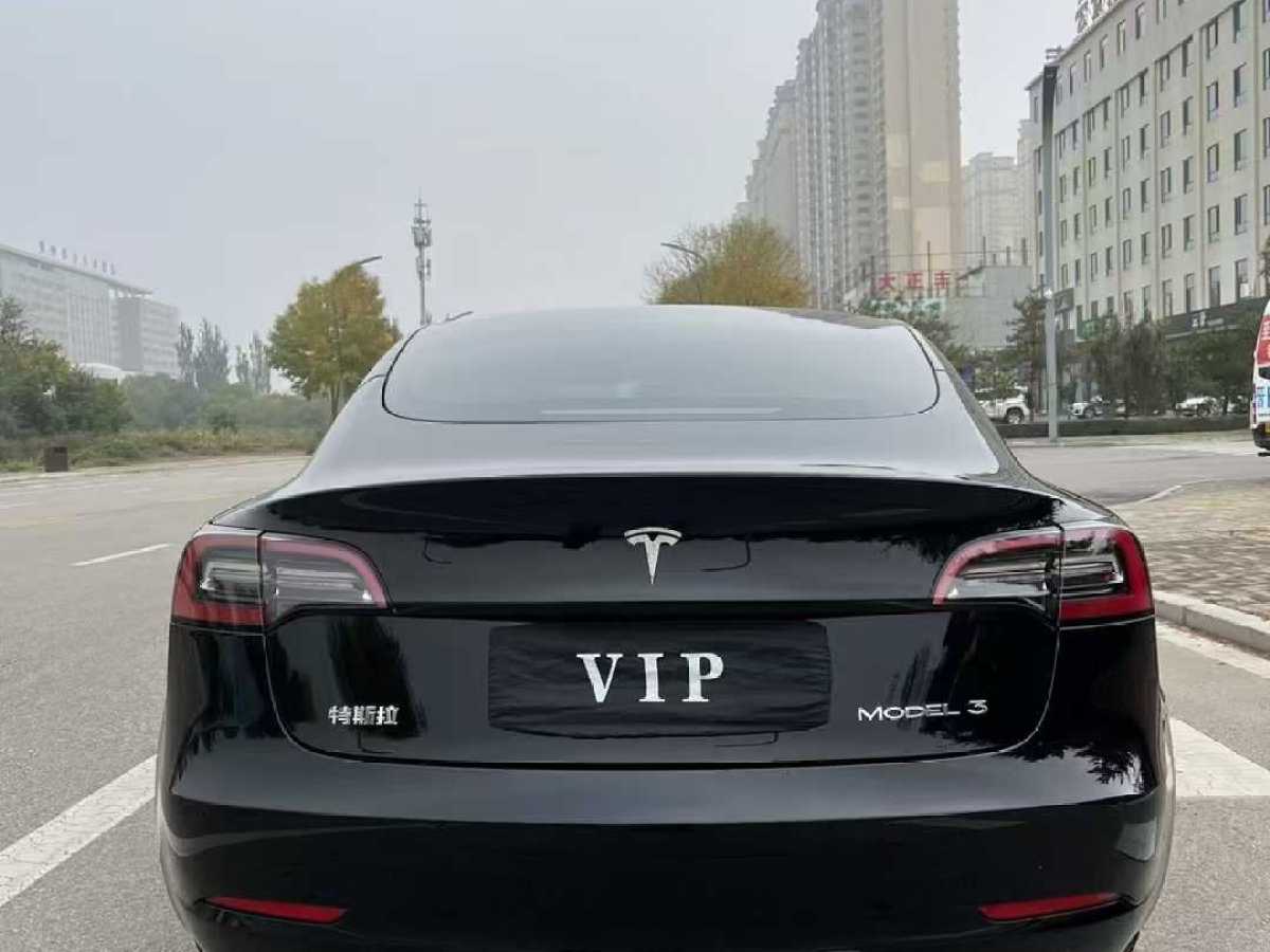 特斯拉 Model 3  2019款 標(biāo)準(zhǔn)續(xù)航后驅(qū)升級(jí)版圖片