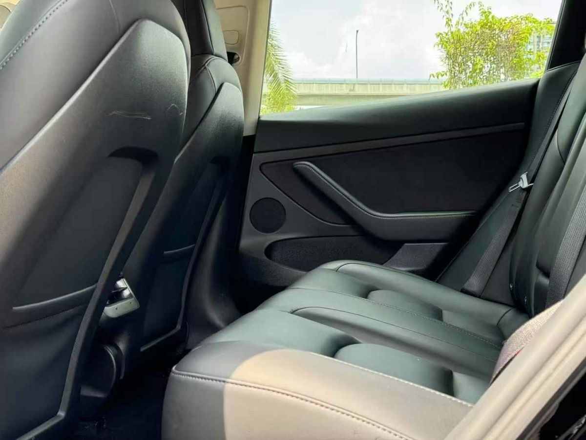 特斯拉 Model S  2021款 Performance 高性能版圖片
