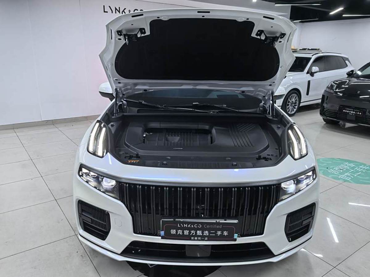 領(lǐng)克 領(lǐng)克09新能源  2021款 2.0T PHEV Halo 六座圖片