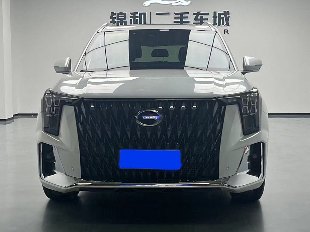 廣汽傳祺 GS8  2022款 領(lǐng)航系列 2.0TGDI 兩驅(qū)尊貴版（七座）圖片