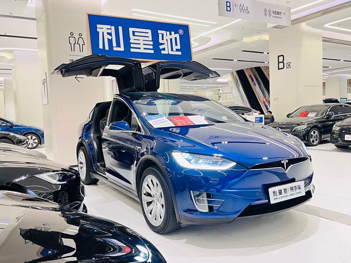 特斯拉 Model X  2017款 Model X 100D 長續(xù)航版圖片