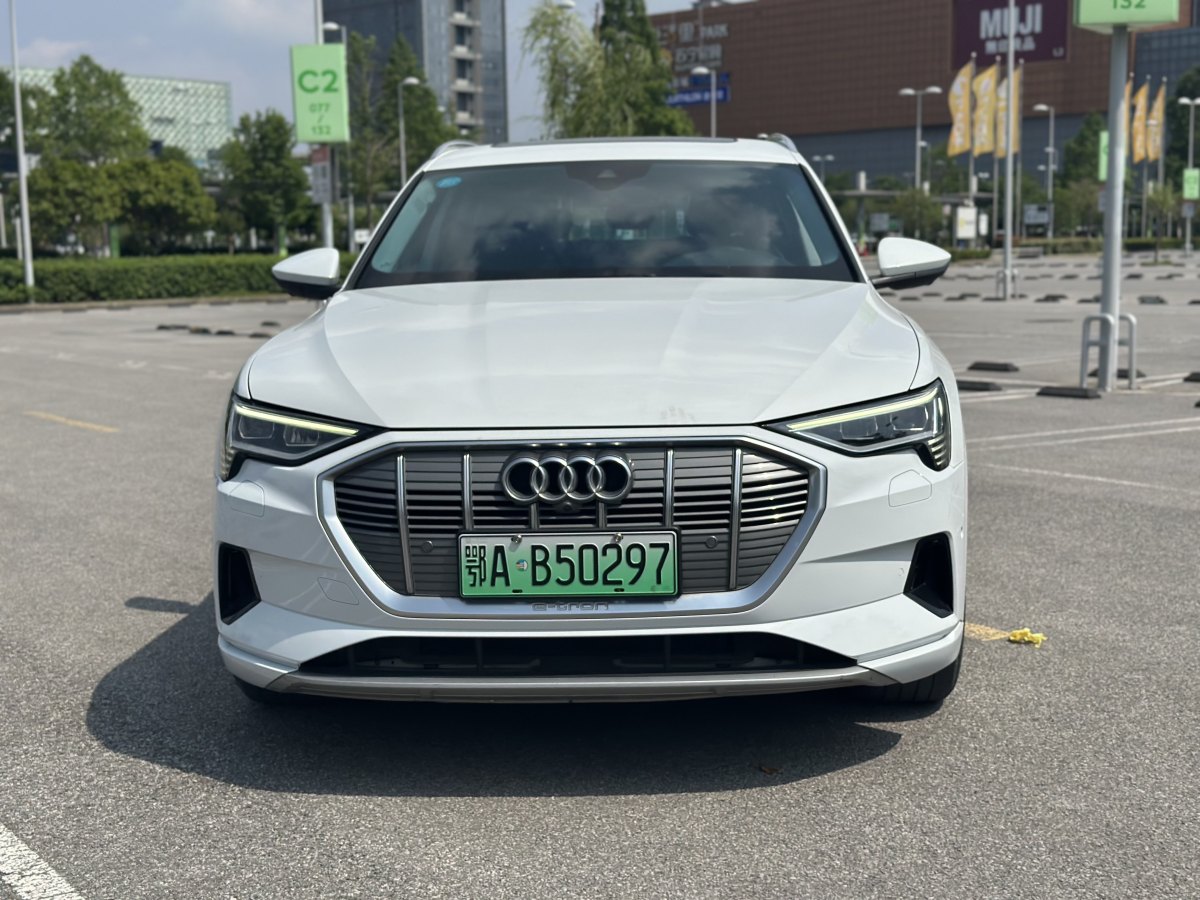 奧迪 奧迪e-tron  2019款 55 quattro 專享型圖片