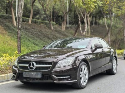 2014年5月 奔馳 奔馳CLS級(進(jìn)口) CLS 300 CGI圖片