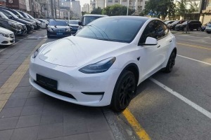 Model Y 特斯拉 改款 后輪驅(qū)動(dòng)版