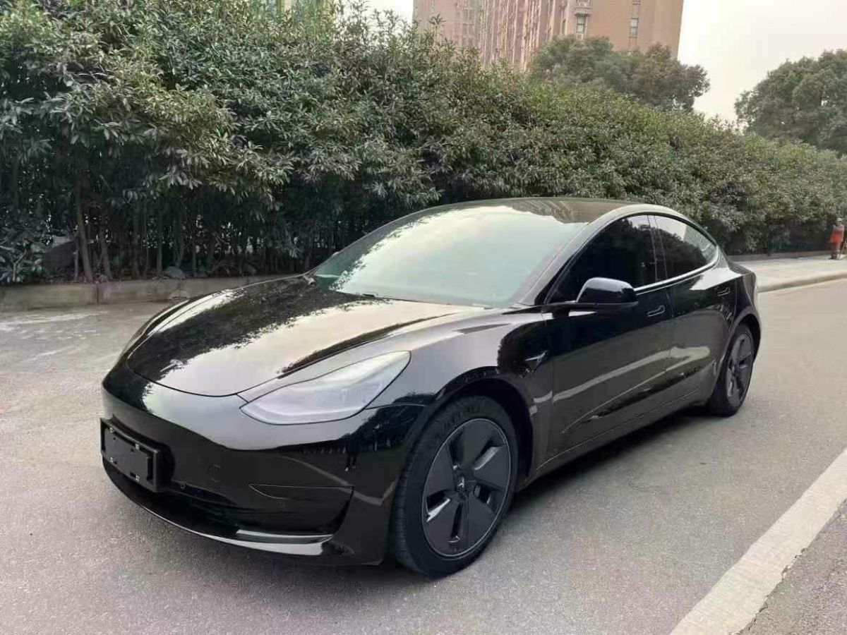 2021年1月特斯拉 Model Y  2021款 標準續(xù)航后驅(qū)版