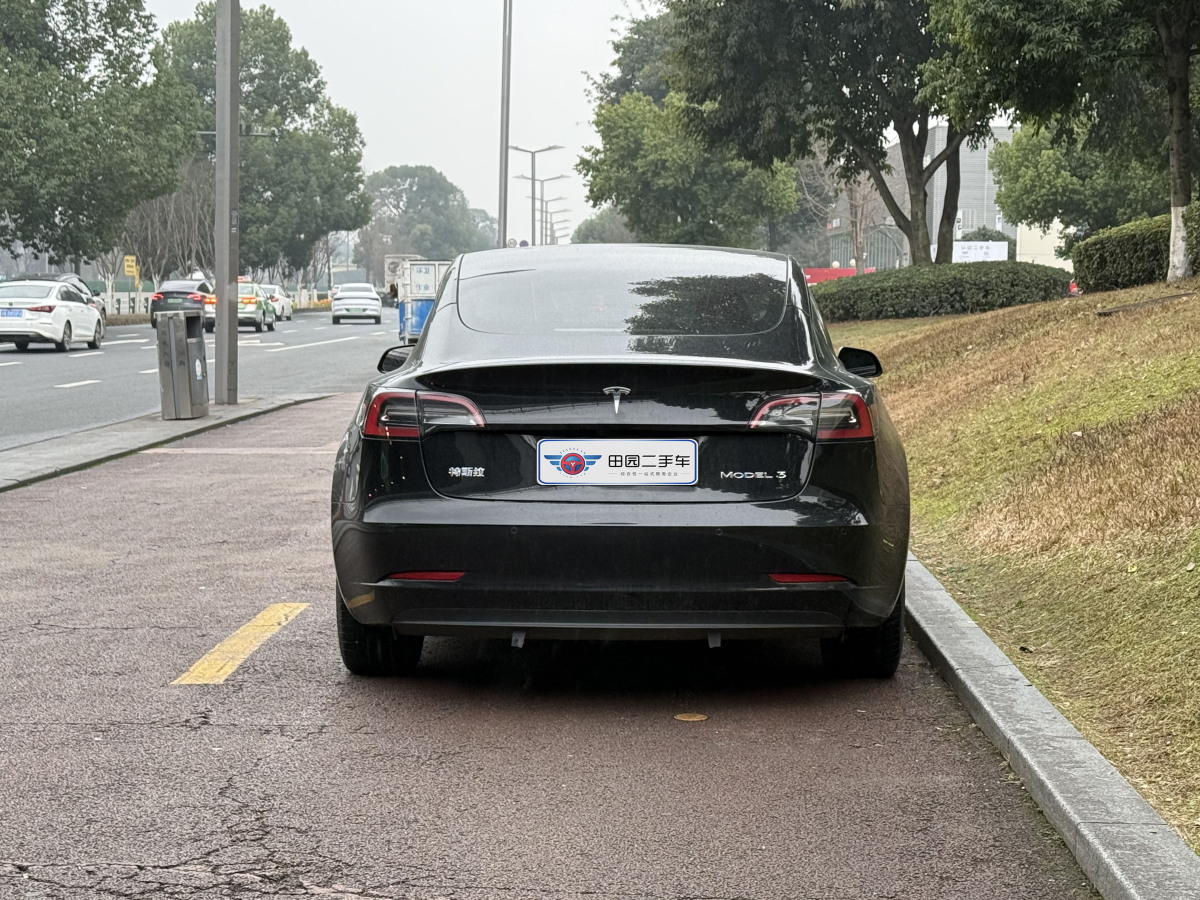 特斯拉 Model 3  2021款 標(biāo)準(zhǔn)續(xù)航后驅(qū)升級(jí)版 3D6圖片