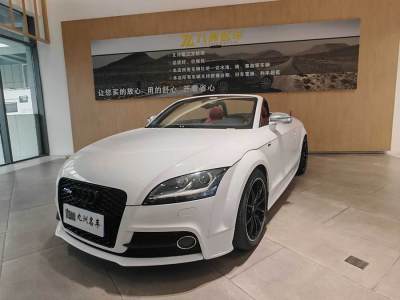 2015年11月 奧迪 奧迪TT(進(jìn)口) TT Roadster 45 TFSI圖片