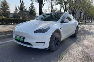 Model 3 特斯拉 改款 長(zhǎng)續(xù)航后輪驅(qū)動(dòng)版