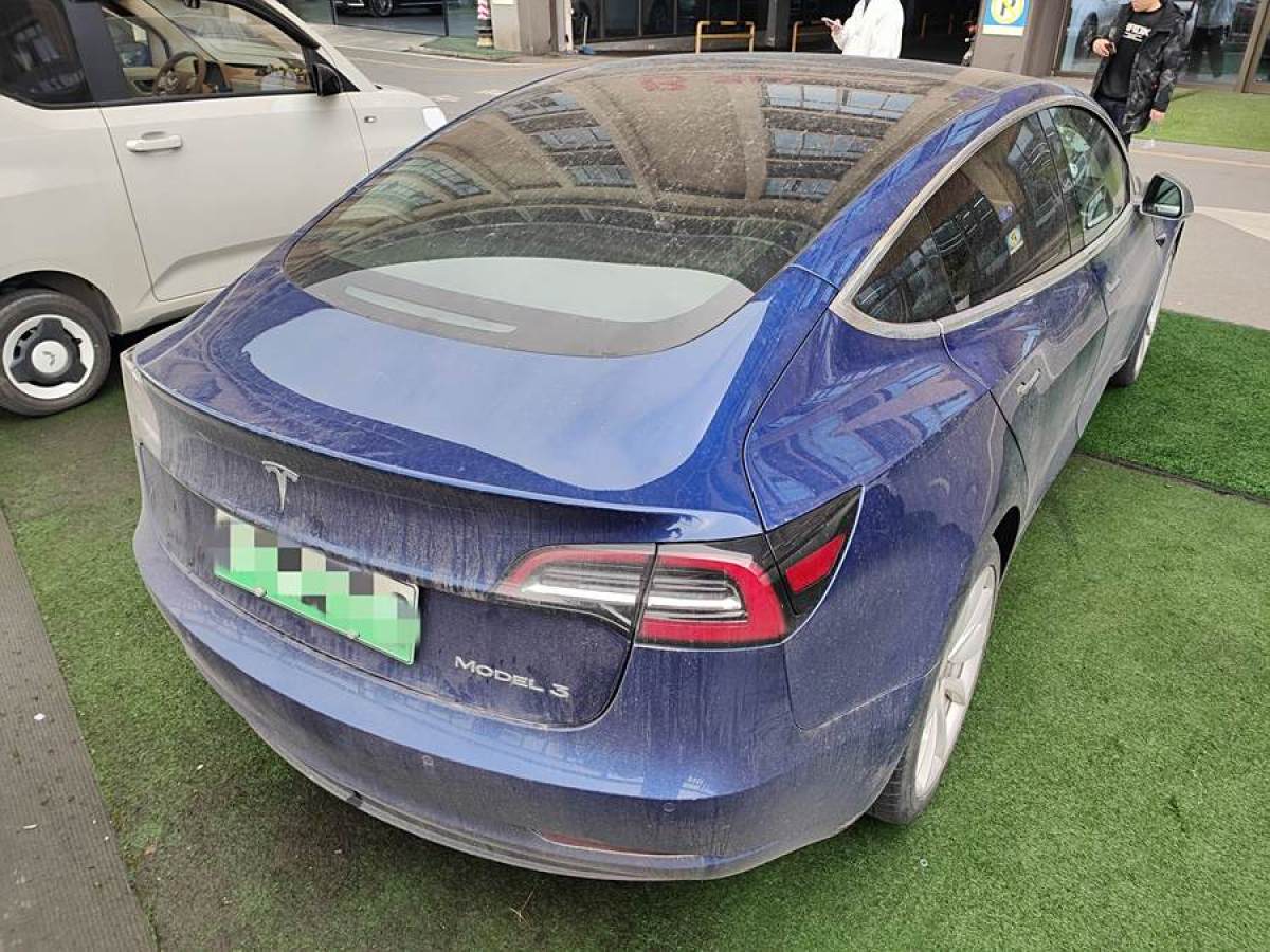 特斯拉 Model 3  2019款 標(biāo)準(zhǔn)續(xù)航后驅(qū)升級版圖片