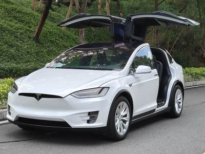 2017年9月 特斯拉 Model X Model X 100D 長(zhǎng)續(xù)航版圖片