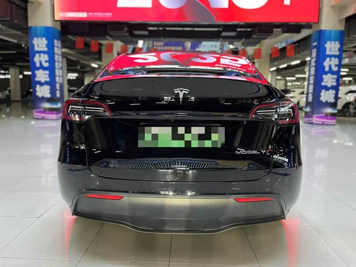 特斯拉 Model 3  2020款 改款 長續(xù)航后輪驅(qū)動版圖片