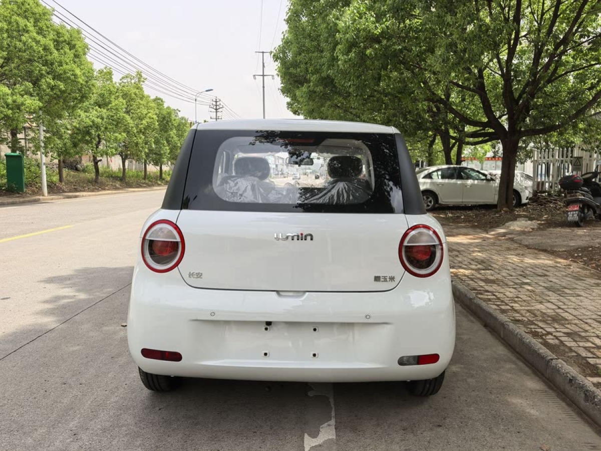 長(zhǎng)安 長(zhǎng)安Lumin  2023款 205km 香沁款圖片