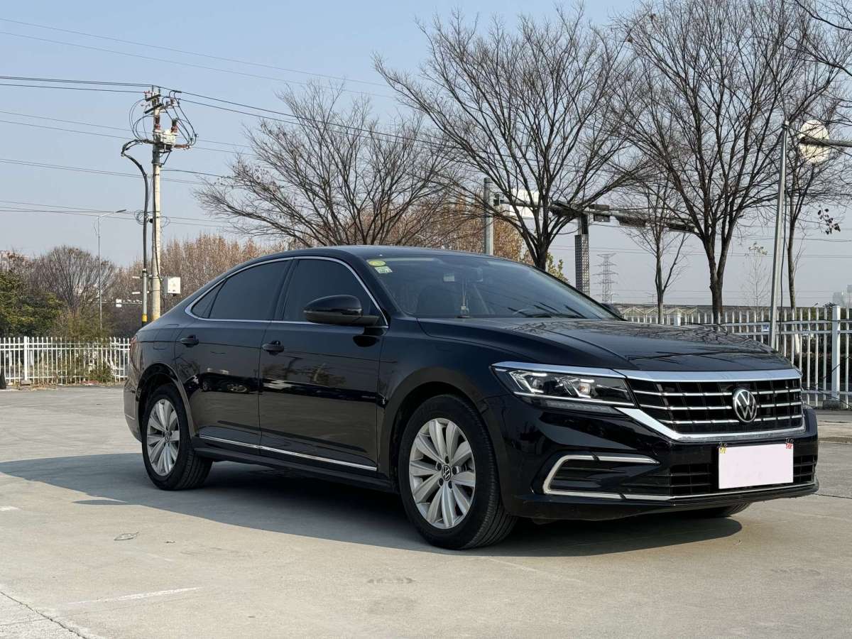 大眾 帕薩特  2024款 380TSI 豪華版圖片