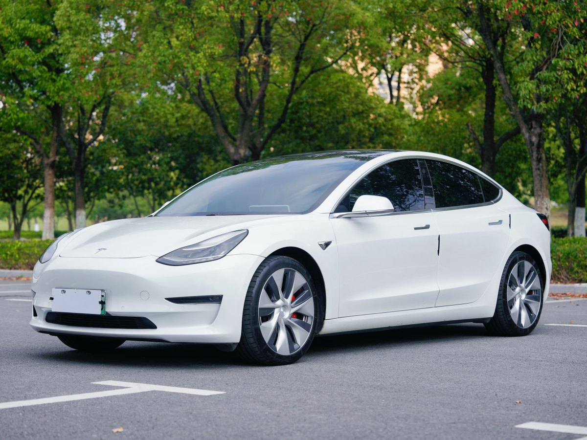 特斯拉 Model 3  2019款 Performance高性能全輪驅(qū)動(dòng)版圖片