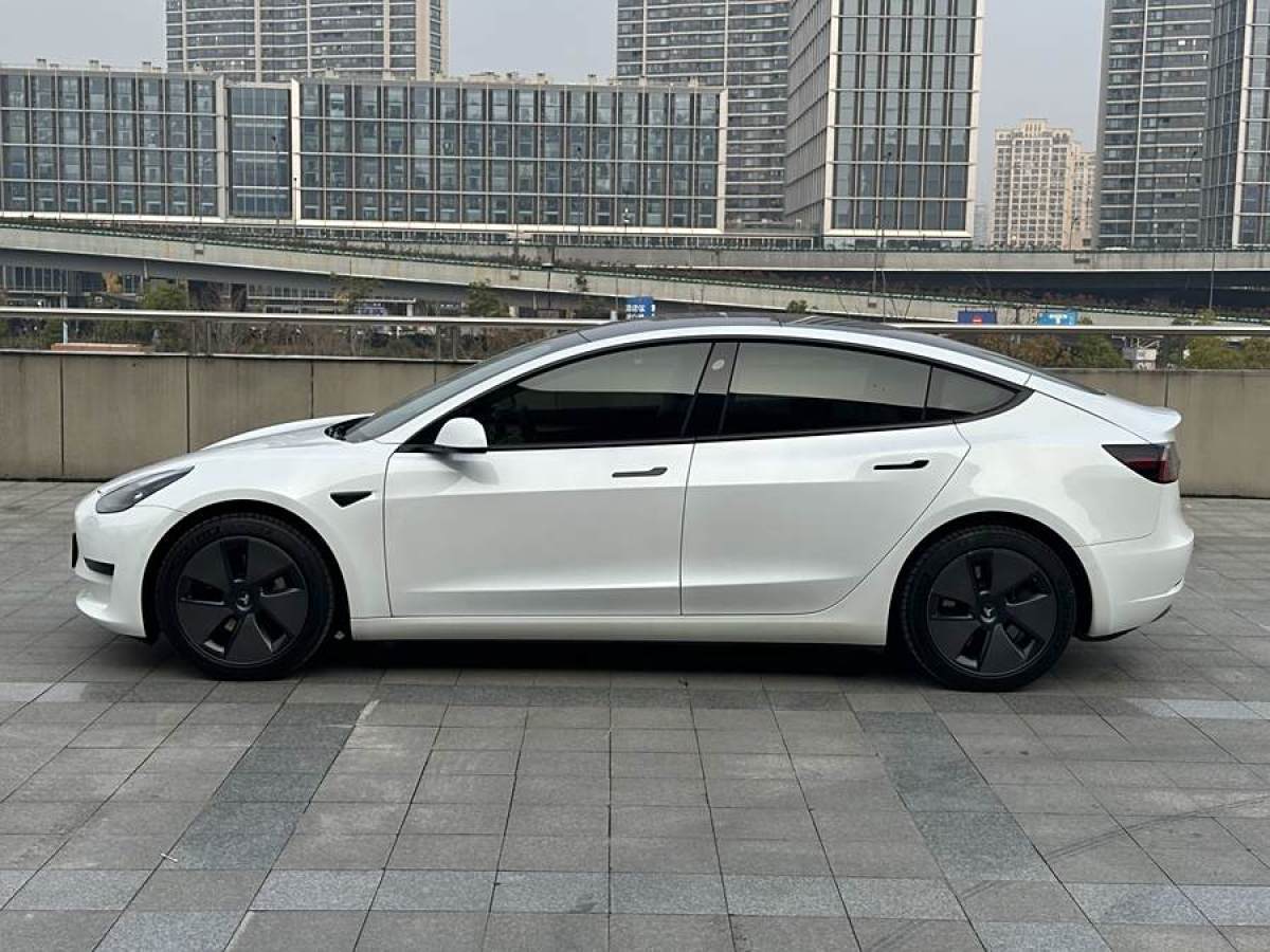 特斯拉 Model 3  2021款 改款 標(biāo)準(zhǔn)續(xù)航后驅(qū)升級(jí)版圖片