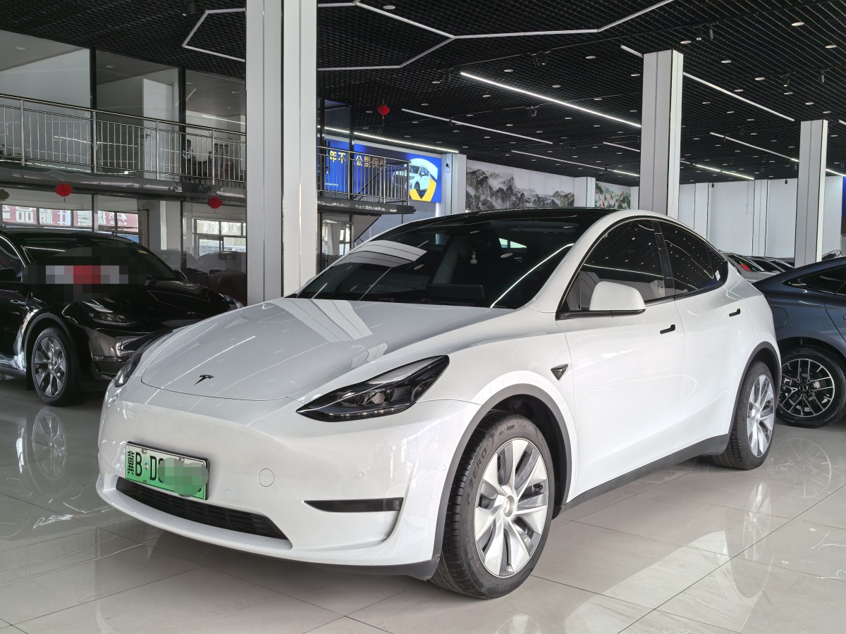 特斯拉 Model 3  2020款 改款 長續(xù)航后輪驅(qū)動版圖片