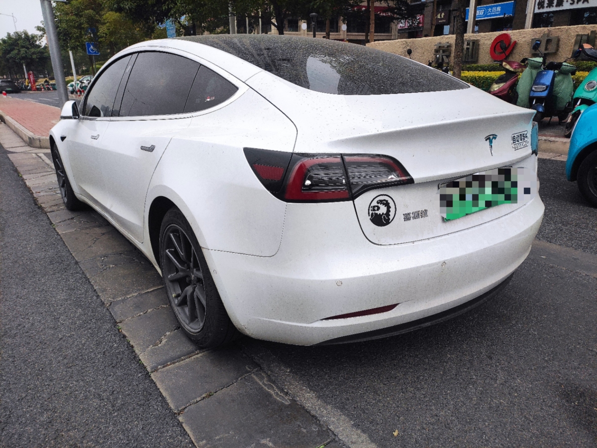 特斯拉 Model 3  2019款 標準續(xù)航后驅升級版圖片