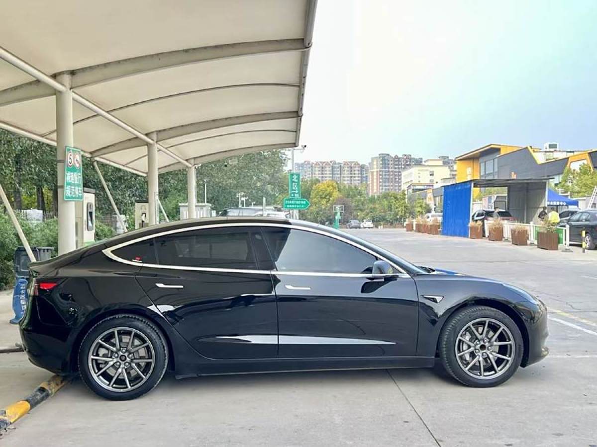 特斯拉 Model 3  2020款 改款 標(biāo)準(zhǔn)續(xù)航后驅(qū)升級(jí)版圖片