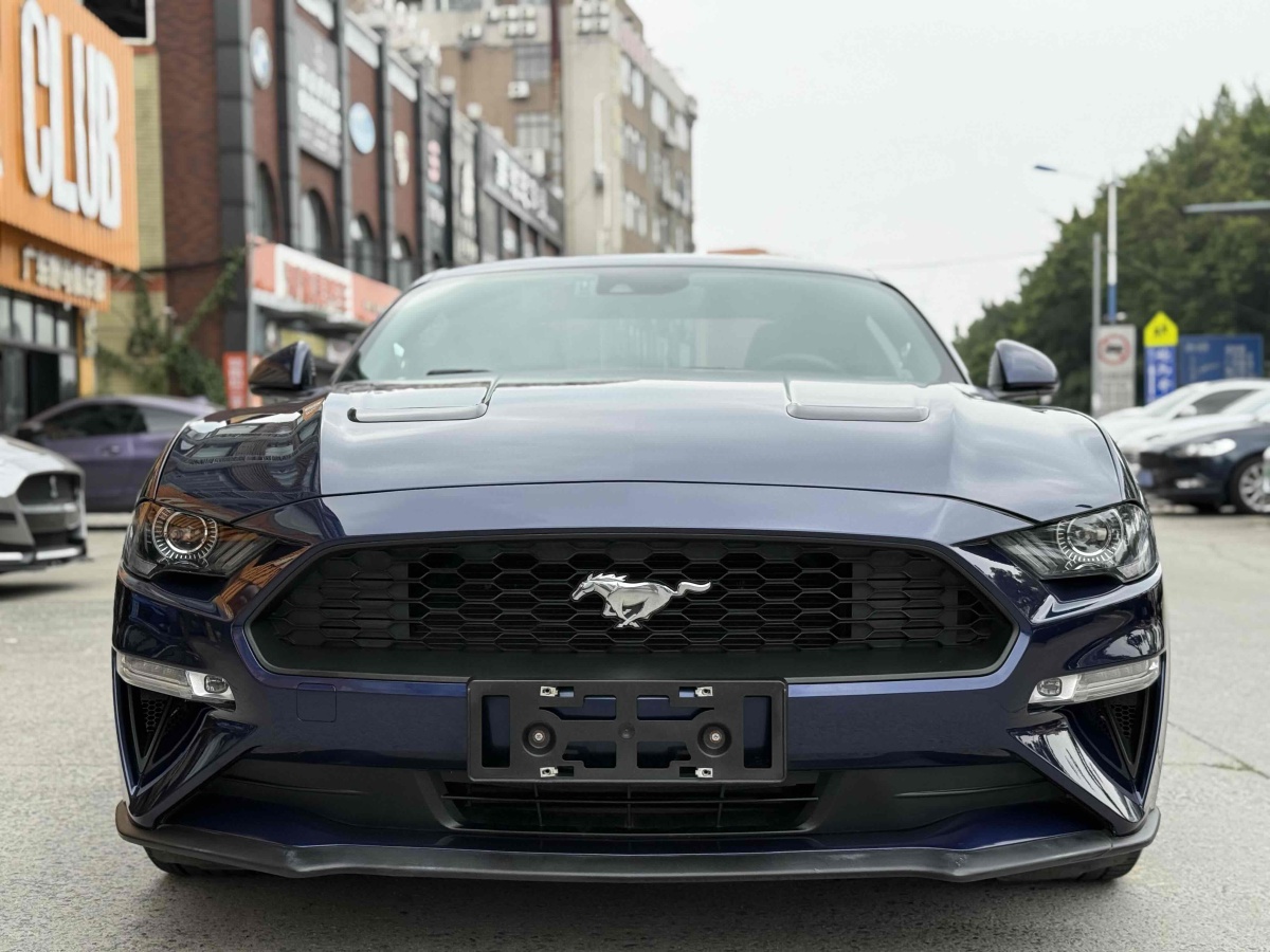 福特 Mustang  2019款 2.3L EcoBoost圖片