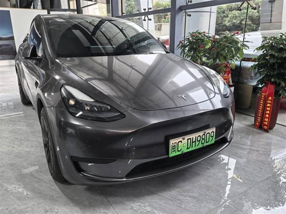 特斯拉 Model 3  2020款 改款 長續(xù)航后輪驅動版圖片