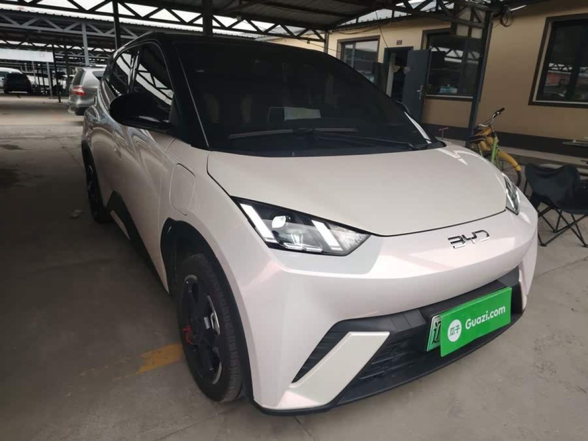 比亞迪 海鷗  2023款 自由版圖片