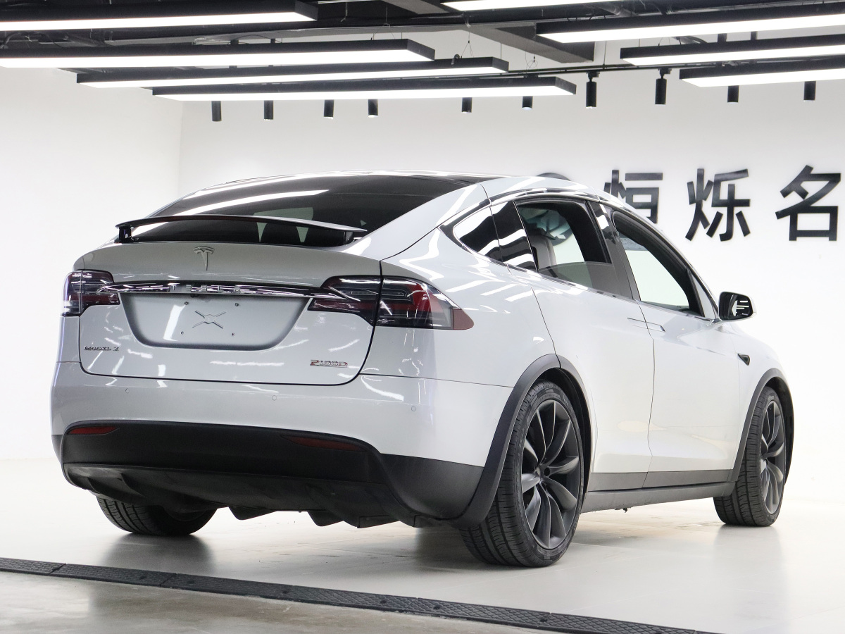 特斯拉 Model X  2016款 Model X P100D Performance高性能版圖片