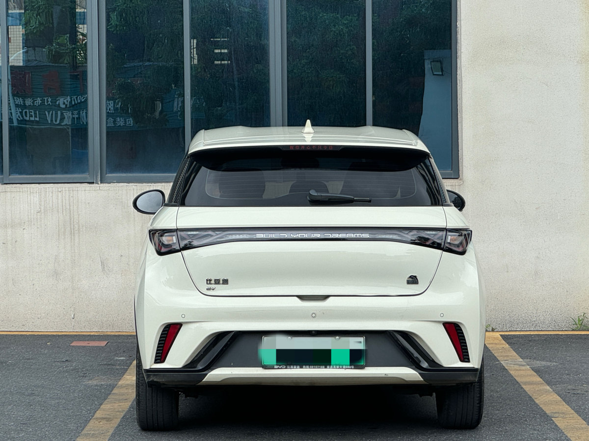 2023年6月比亞迪 海豚  2023款 420km 自由版