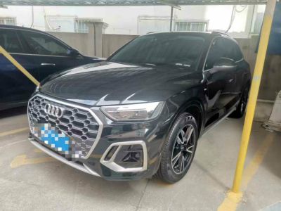 2023年10月 奥迪 奥迪Q5 e-tron 40 e-tron 星耀型 影武士版图片