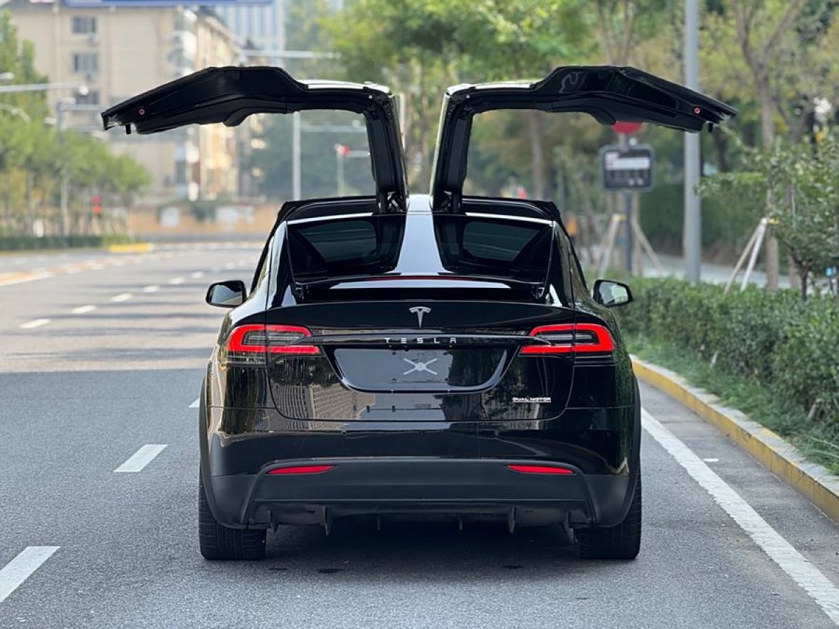 特斯拉 Model X  2020款 Performance 高性能版圖片