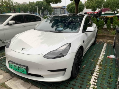 2021年03月 特斯拉 Model 3 標(biāo)準(zhǔn)續(xù)航后驅(qū)升級(jí)版圖片