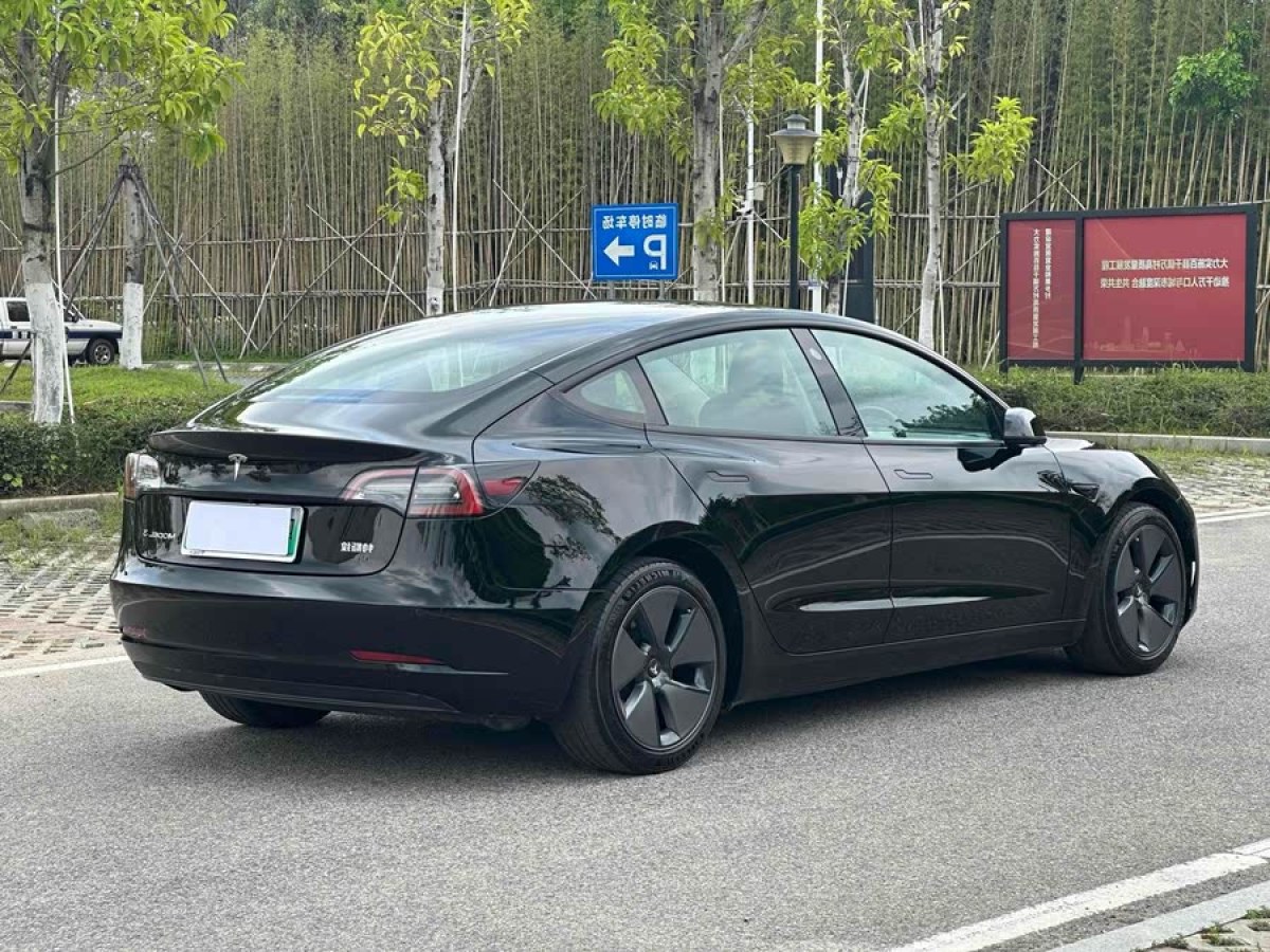 特斯拉 Model 3  2021款 標(biāo)準(zhǔn)續(xù)航后驅(qū)升級(jí)版 3D6圖片