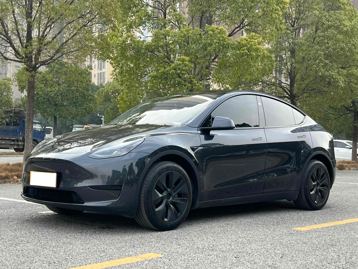 特斯拉 Model 3  2020款 改款 長續(xù)航后輪驅(qū)動版圖片