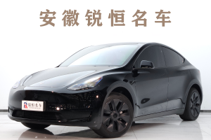 Model Y 特斯拉 改款 长续航后轮驱动版