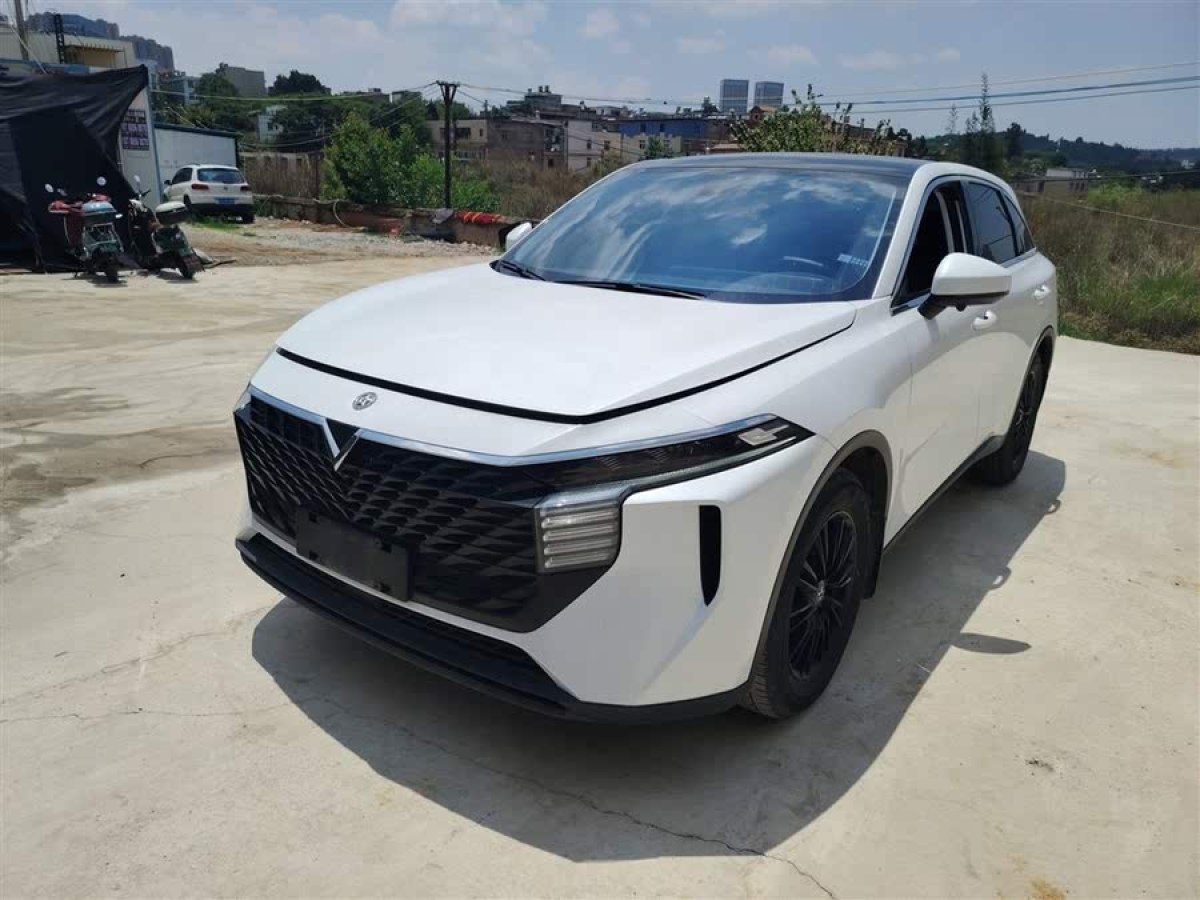 啟辰 啟辰大V  2021款 260T 愛豆版圖片