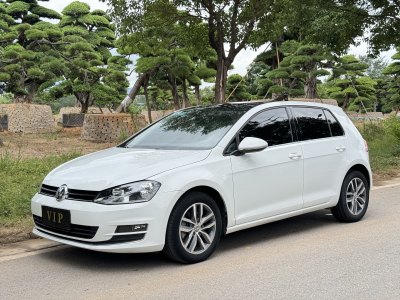 2016年6月 大众 高尔夫 230TSI 自动豪华型图片