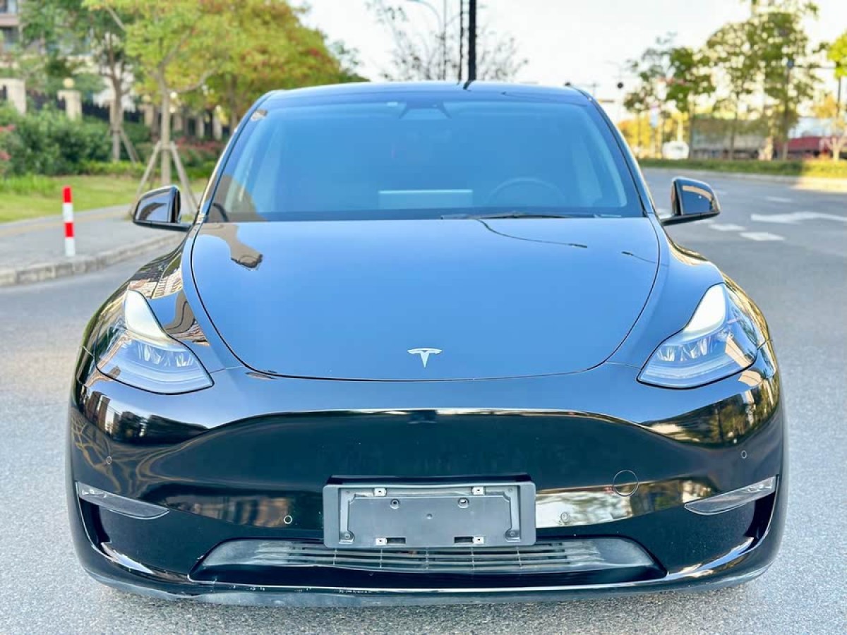 特斯拉 Model Y  2021款 標(biāo)準(zhǔn)續(xù)航后驅(qū)版圖片