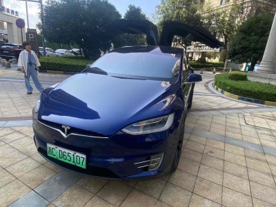 2019年9月 特斯拉 Model X 長續(xù)航版圖片