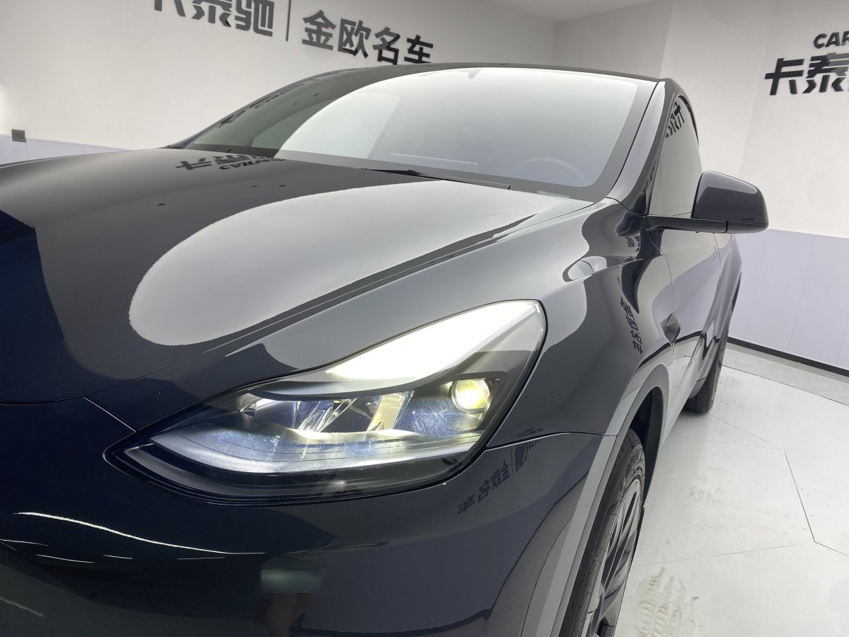 特斯拉 Model Y  2020款 改款 长续航后轮驱动版图片