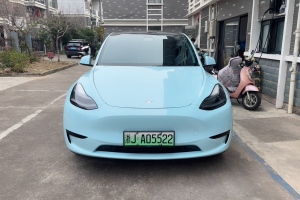 Model Y 特斯拉 后輪驅(qū)動版