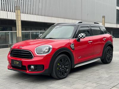 2019年1月 MINI COUNTRYMAN 1.5T COOPER ALL4 藝術(shù)家圖片