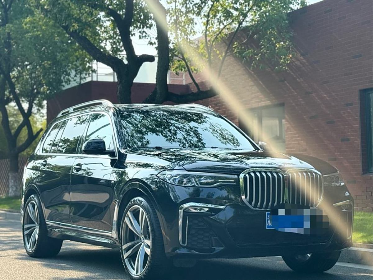 寶馬 寶馬X7  2019款  xDrive40i 領(lǐng)先型豪華套裝圖片