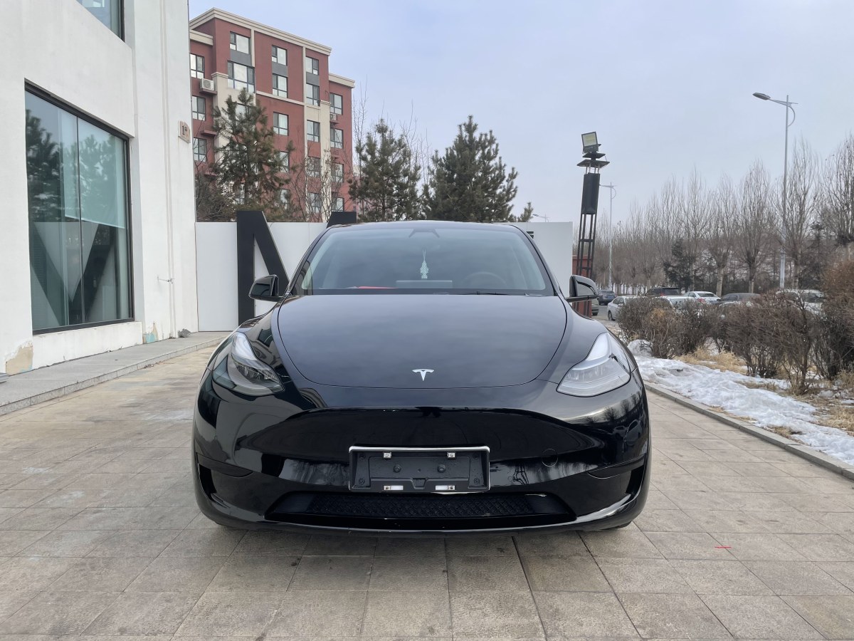 特斯拉 Model 3  2020款 改款 長續(xù)航后輪驅動版圖片