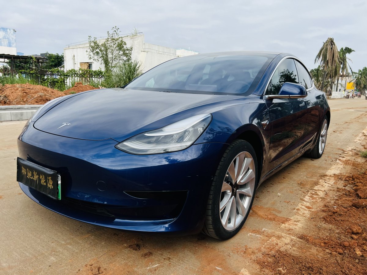 特斯拉 Model 3  2019款 標(biāo)準(zhǔn)續(xù)航后驅(qū)升級版圖片