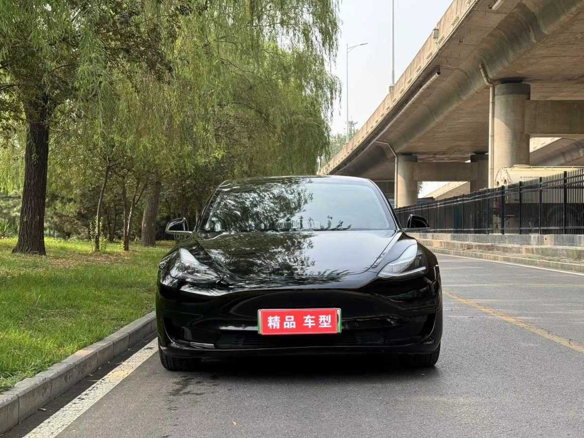 特斯拉 Model 3  2019款 標(biāo)準(zhǔn)續(xù)航后驅(qū)升級(jí)版圖片