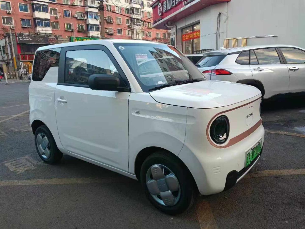 吉利 熊貓mini  2024款 200km 熊貓騎士圖片