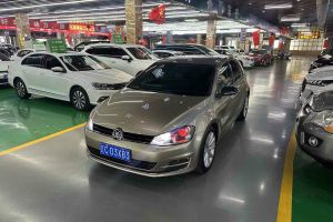 高爾夫 大眾 1.6L 手動(dòng)時(shí)尚型