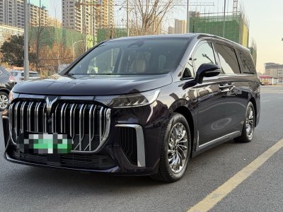 2023年10月 嵐圖 夢想家 PHEV 超長續(xù)航旗艦版圖片