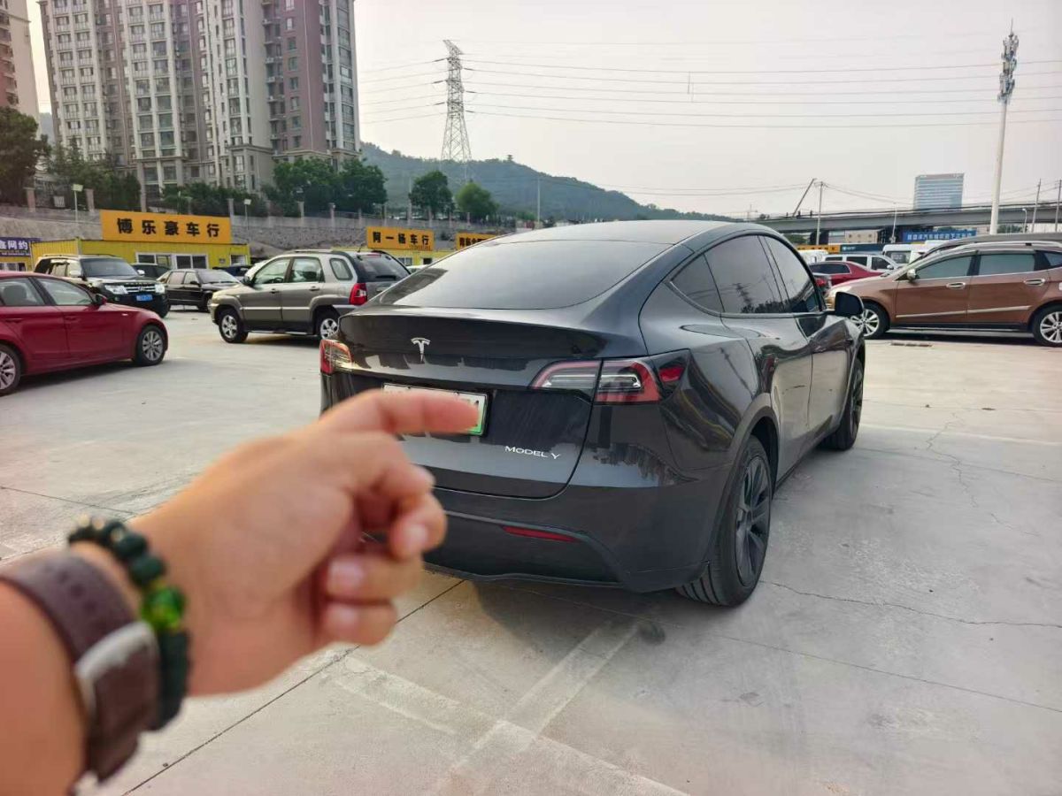 特斯拉 Model Y  2024款 Performance高性能版圖片